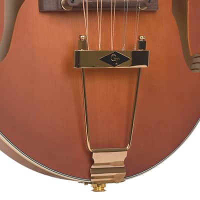 Gold Tone F-10 Mastertone Solid Spruce Top Maple Neck 10-String F-Style Mandolin w/Hard Foam Case image 6