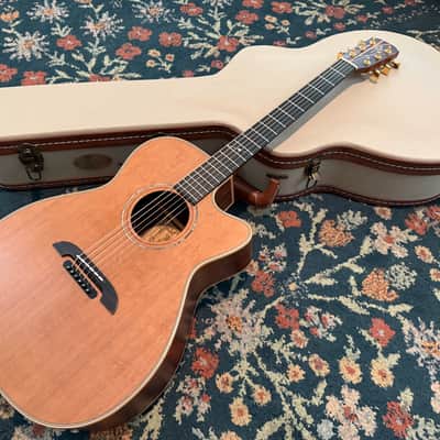 Alvarez Yari WY-1 - Natural image 1
