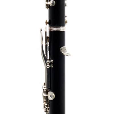 Buffet Crampon R13 Professional Bb Clarinet in Grenadilla SN F499157 image 8