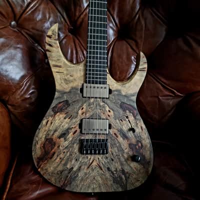 Mayones Duvell Elite 6 2026 Buckeye Burl Master Grade Top Black Limba Body Wenge Neck Ebony Fretboard 16" image 1