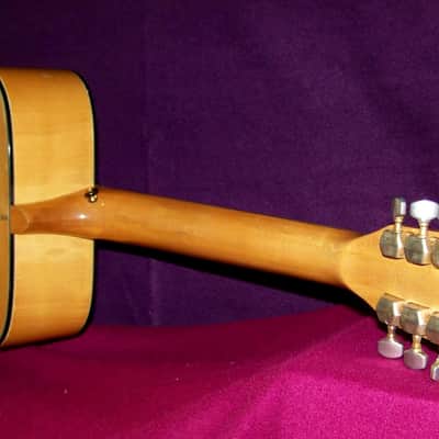 IBANEZ CONCORD MODEL 670-12 12 String Acoustic Guitar (rare maple