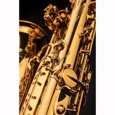Selmer Paris Alto Sax Selmer Signature Signature DARK SL (Dark Signature Lacquer) [Shipped after adjustment & setup] [Free key balance adjustment for 5 years] image 6
