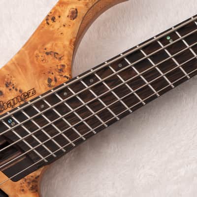 Ibanez EHB1505SMS-FNL Bass Workshop ~Florid Natural Low Gloss~ image 7