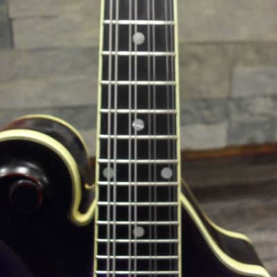 Ibanez 529 F-Style 1981 Sunburst image 4