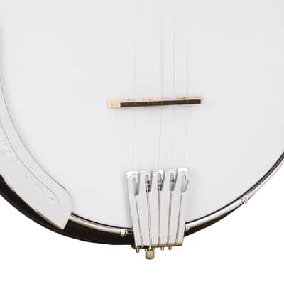 Gold Tone AC-5: Acoustic Composite 5-String Banjo w/Gig Bag image 3