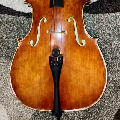 Maciej Lacek Cello Nowy Targ, Poland 2014 image 8