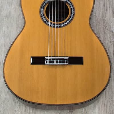 Cordoba C10 Parlor CD Acoustic Nylon String Parlor Size Guitar with Case image 2