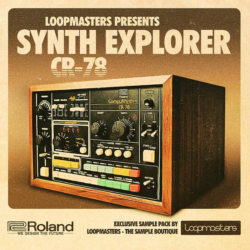 Loopmasters Synth Explorer CR-78 image 1