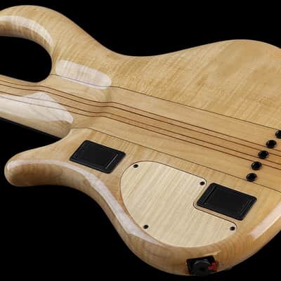 Mayones Patriot MR Fretless BB 5 image 6
