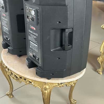 AUDIODESIGN DigiLive 12 (Coppia-Pair) image 4