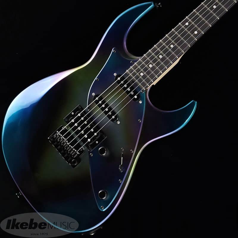STR GUITARS James Tyler Guitars Design SSH [Titanium-like Finish] -Outlet Special Price!!- image 1