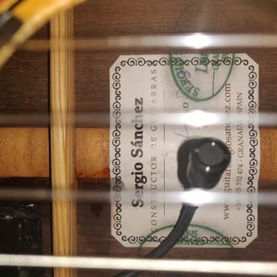 Sergio Sánchez Torres SE 114 + Fishman Premiun Blend - 2014 Shellac varnish image 19