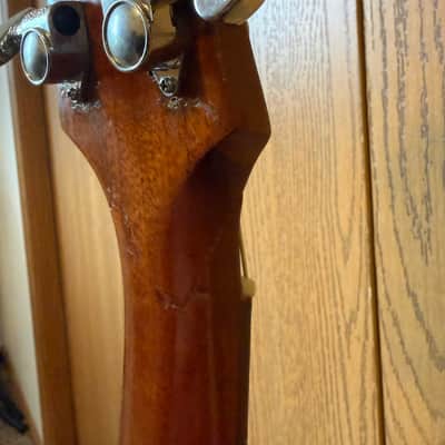 Epiphone Ft 30 caballero 1965(?) - Mahogany image 18