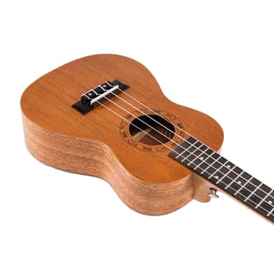 VOLT Valencia Concert Ukulele image 5