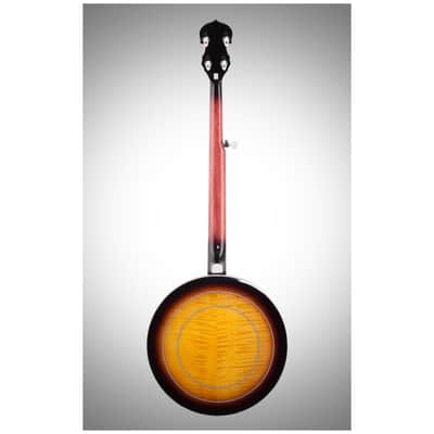 Washburn B16K Banjo with Case image 5