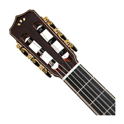 Cordoba Stage Artist Nylon-String Electric Guitar - Agave Burst image 4