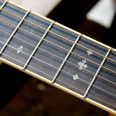 Recording King RP-342 Tonewood Reserve Elite Single 0 image 6