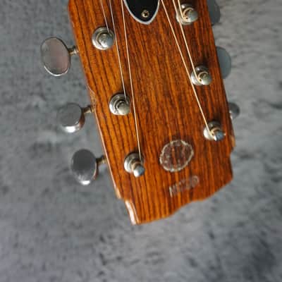 TOKAI Humming Bird 180F アコースティックギター Tokai Hummingbird 180F Folk Guitar Japan Acoustic | Reverb