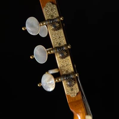 Paul Fischer Classical Fan Braced image 19