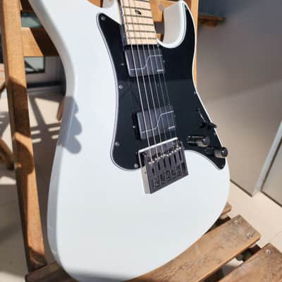 Caparison Dellinger-JSM Joel Stroetzel`21 image 5