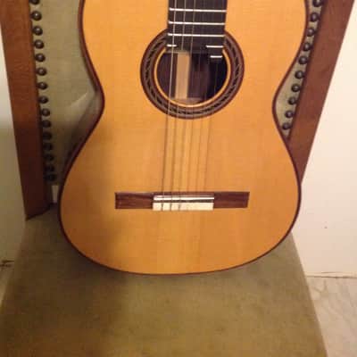 Kenny Hill 2011 performance model Spruce/Indian Rosewood image 1