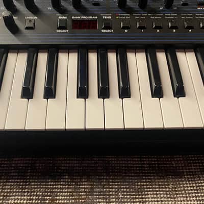 Dave Smith Instruments OB-6 6-Voice Polyphonic Analog Synthesizer Owned by Oneohtrix Point Never image 8