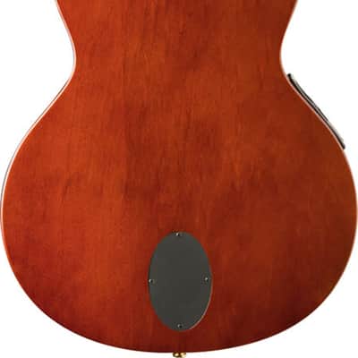 Washburn EACT42 Thinline Acoustic-Electric Classical Guitar, Solid Spruce Top image 3
