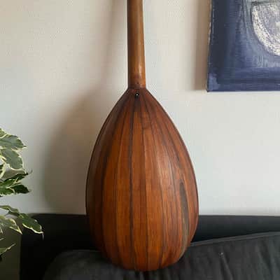 Schonbach Guitar-lute ./ Luth from 1900s image 12