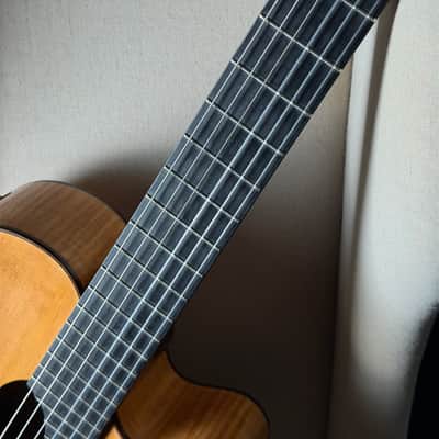 Paul McGill Super Ace Nylon Crossover Classical RMC image 14