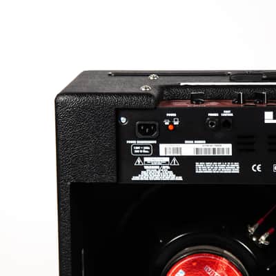 Line 6 Flextone 2 Owned by Mike Campbell image 6