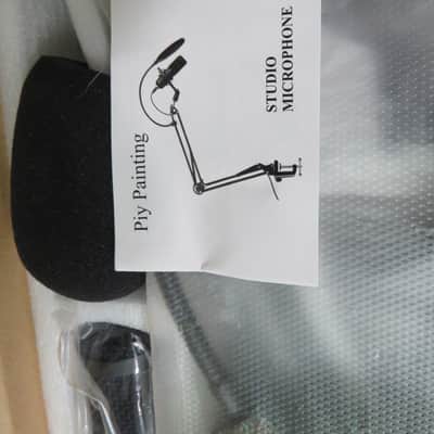 Piy Painting Studio Microphone Kit - Open Box image 2