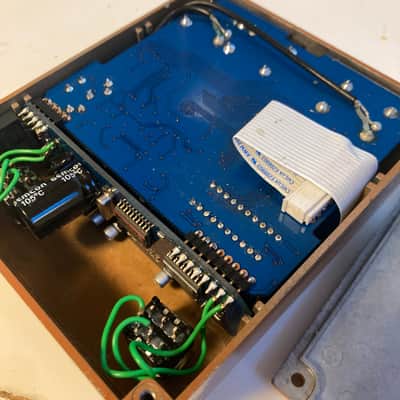 T-Rex Replica Delay Pedal image 4