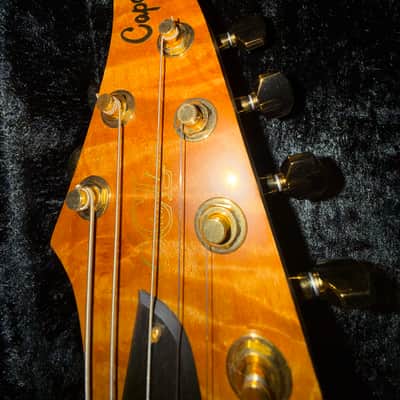 Caparison Dellinger-SH-BM Custom Line 2025 - Very cool image 3