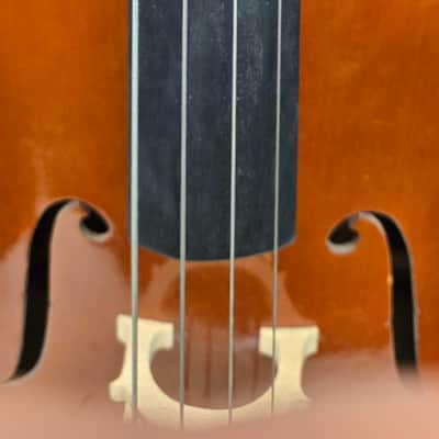 Strunal 40/4 Series 3/4 Cello Outfit Ready to Play image 8