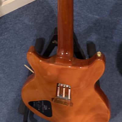 Guitar Carlos Santana Early 2000's image 6