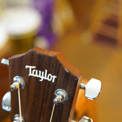 Taylor 214ce-G Acoustic-Electric Guitar 2011 w/Padded Gig Bag image 9