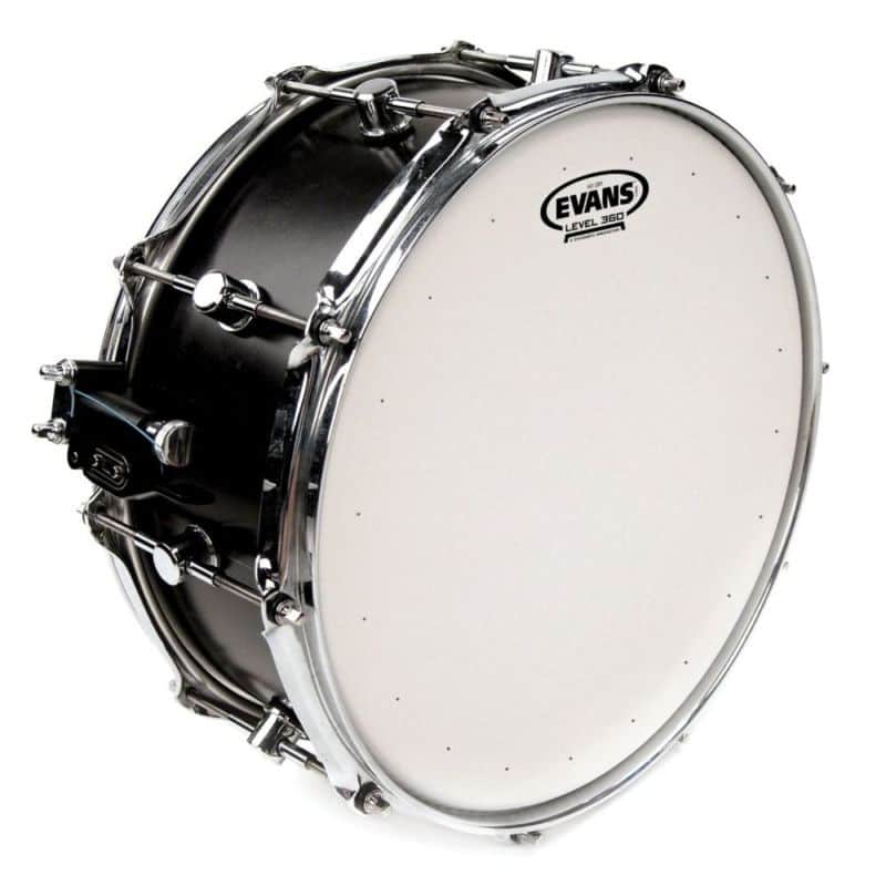Evans 14" Genera HD Dry Coated White image 1