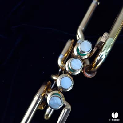 Henri Selmer Paris 465 BLF LONG piccolo Bb / A trumpet gamonbrass image 13