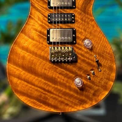 PRS Private Stock 9630 Special 22 HB No F-Holes Natural/Turquoise 0342962 image 12