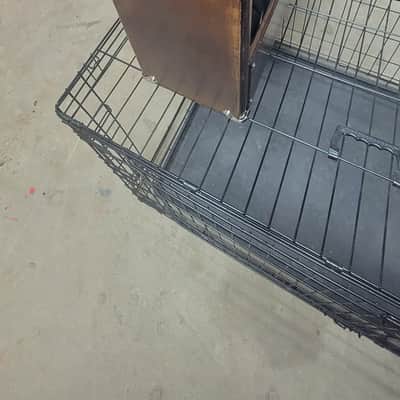 Harp amp Weber 5F2-H image 1