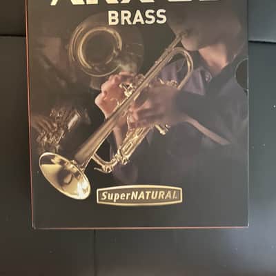 Roland ARX-03 SuperNATURAL Brass OPEN BOX - 2010 image 2
