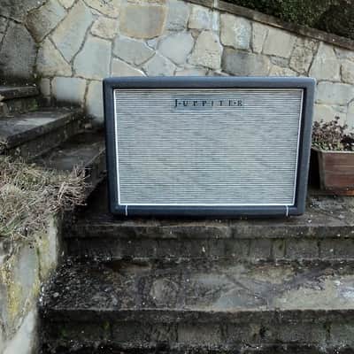 DRAW YOUR OWN CUSTOM CABINET 2023 JUPPITER "Black Swan Series" 2x12 Cab for Marshall Orange Hiwatt Tube Amps image 17