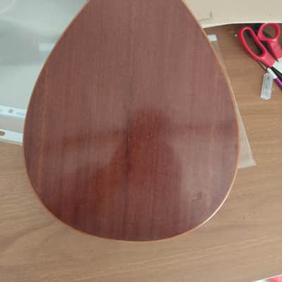 Mandolino Prudenzio Saez image 5