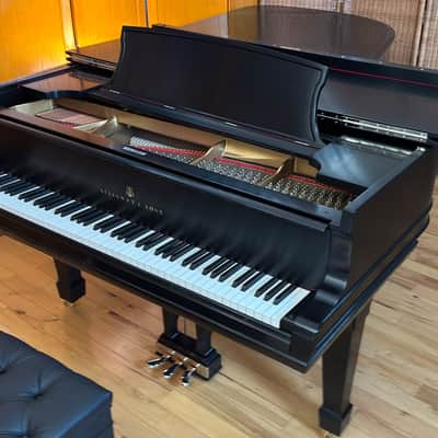 Steinway&Sons B 1896 - Ebony Satin image 8