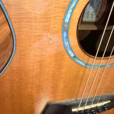 1995 Taylor GA-WS Limited Edition Acoustic Guitar w/OHSC image 8