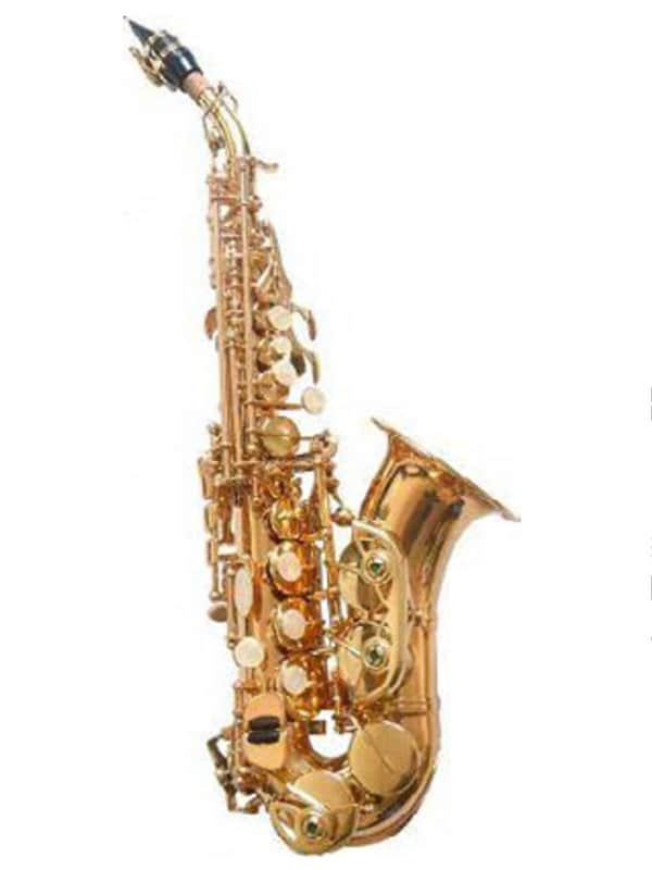 Oxford Eb Alto Saxophone – Student Alto Sax Outfit w/ Case, Mouthpiece & Reed image 1