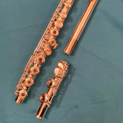 Unbranded-Step Up Student Model Flute-Open Hole, C Foot Split E-Case and Extras! image 3