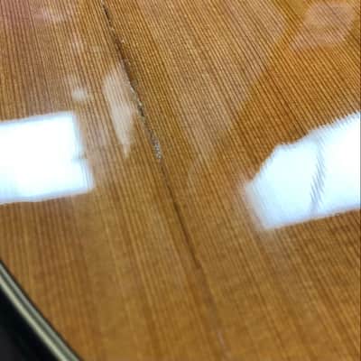 Taylor Custom GA Nylon String, 2012, with Case - Pre Owned image 23