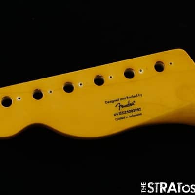 Fender Squier Classic Vibe 50s Telecaster NECK Tele Tinted Guitar *MN Maple image 6