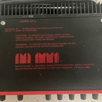Walter Woods ElectraAcoustic GreenLight late 90"s - Good image 3